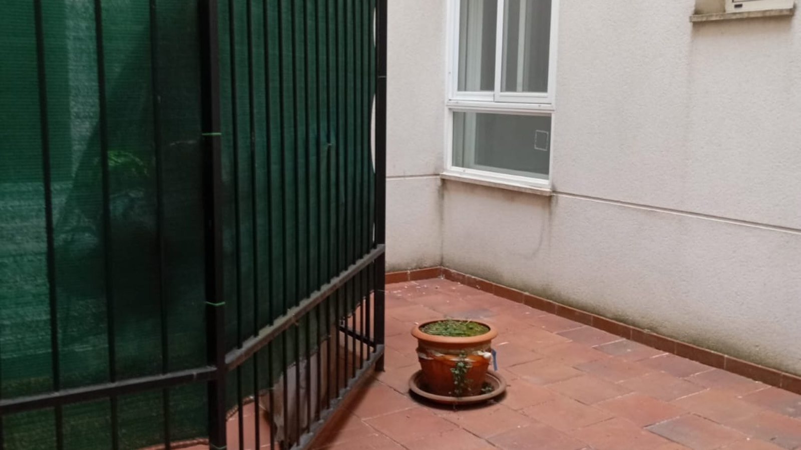 WhatsApp Image 2025-10-08 at 12.29.00 (2)