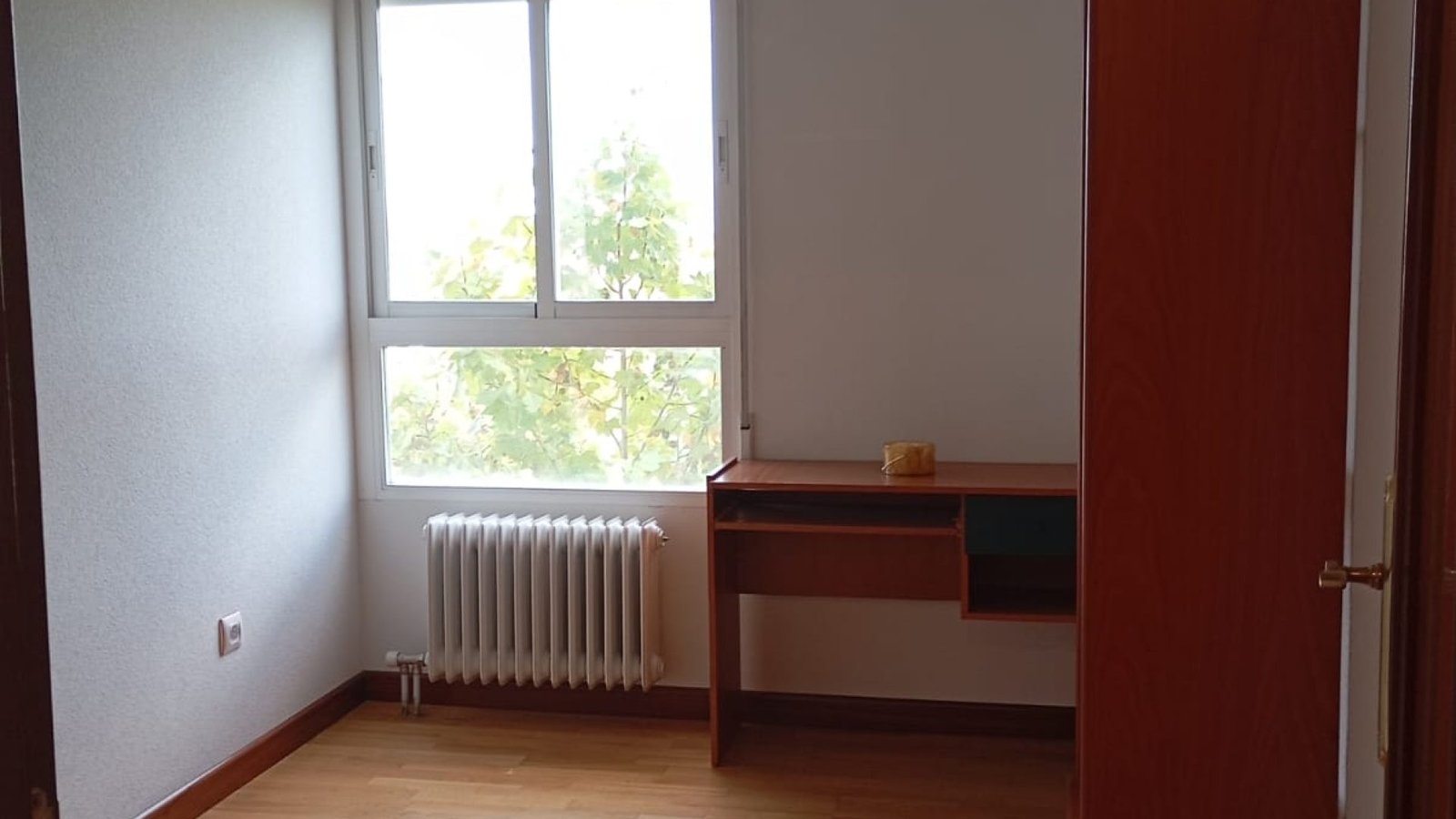 WhatsApp Image 2025-10-08 at 12.29.02 (1)