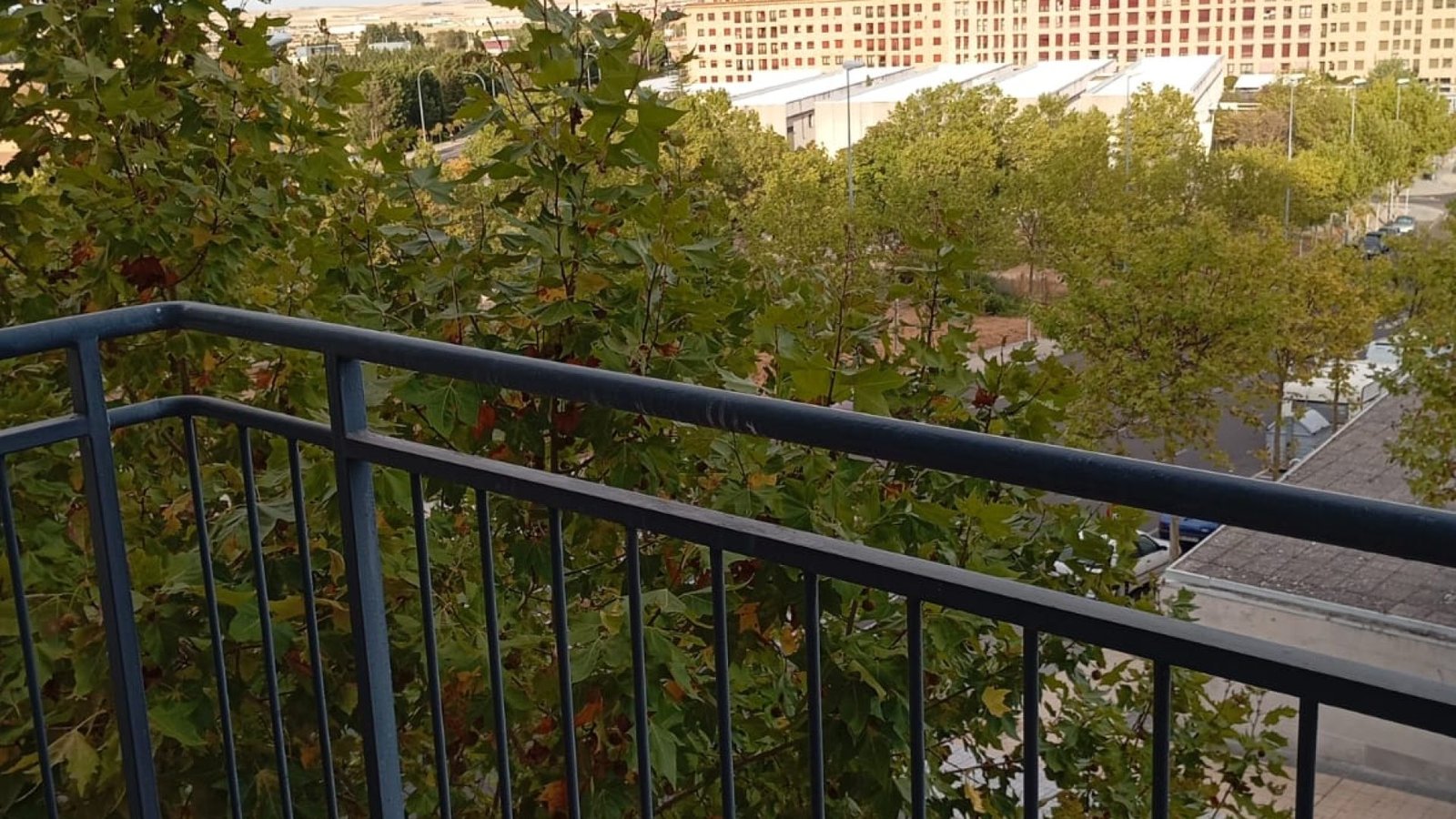 WhatsApp Image 2025-10-08 at 12.29.08 (3)